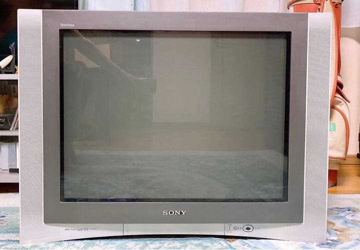 ソニー ブラウン管テレビ KV-29DS65 29インチ