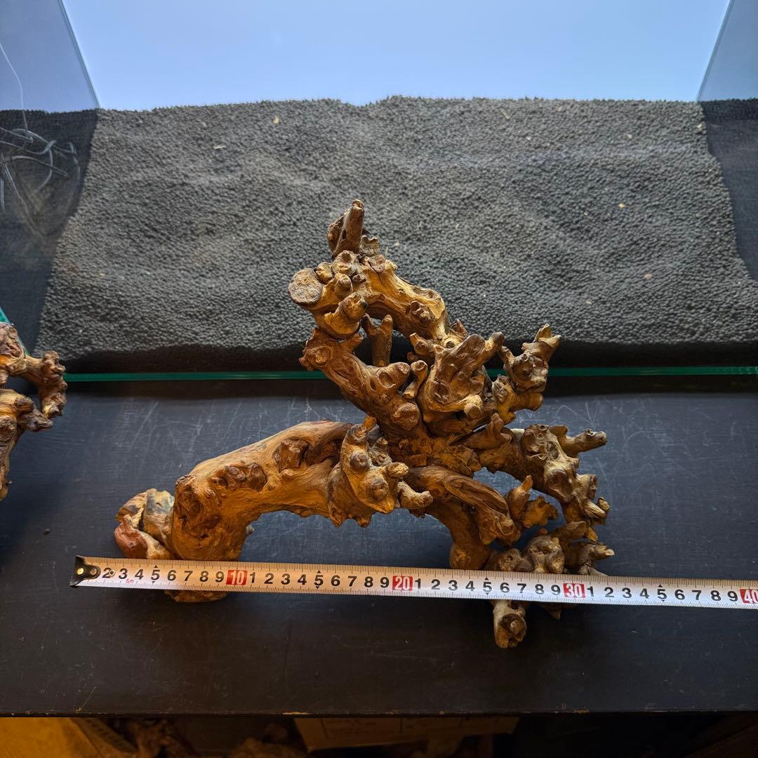 MSW-7085 天然流木 2本セット 枝流木 アクアリウム