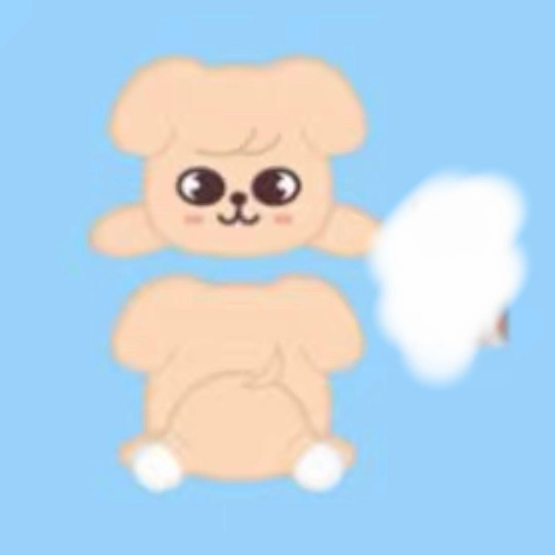 straykids スキズ celebrate puppym スンミン メンプロ - メルカリ