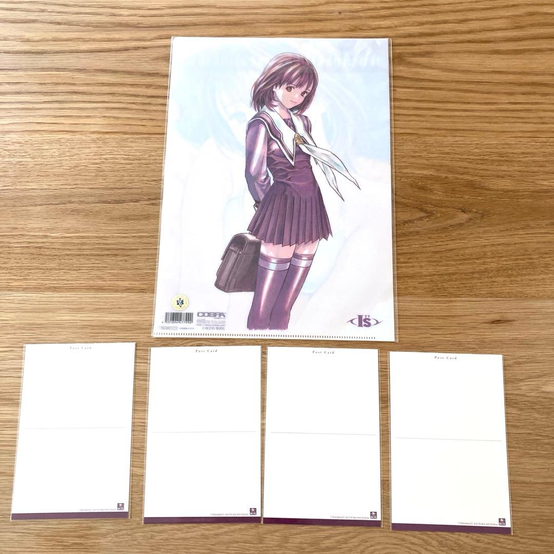 桂正和 葦月伊織 クリアファイル ポストカード アイズ ウィングマン