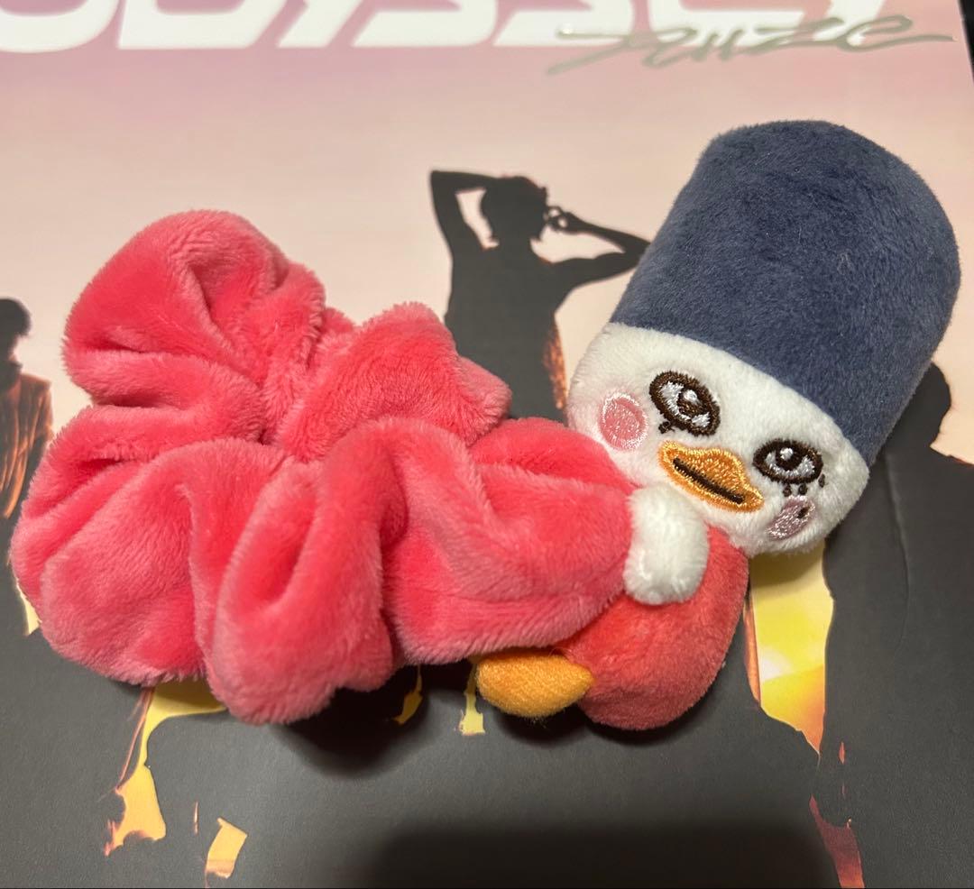 riize ライズ シュシュ トルビョン ソヒ sohee - メルカリ