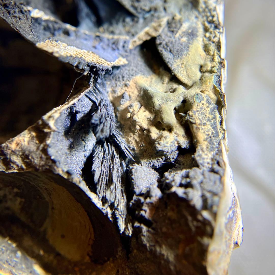 希少 ヴィヴィアナイト シェルフォッシル 藍鉄鉱 貝化石 原石 標本 72g