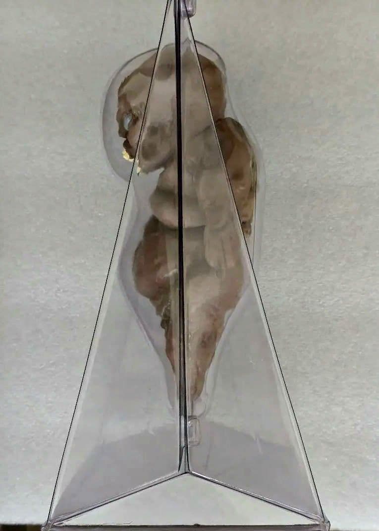 生産終了 プラッターハウス ハンギングデッド ソフビフィギュア　その他まとめ買い