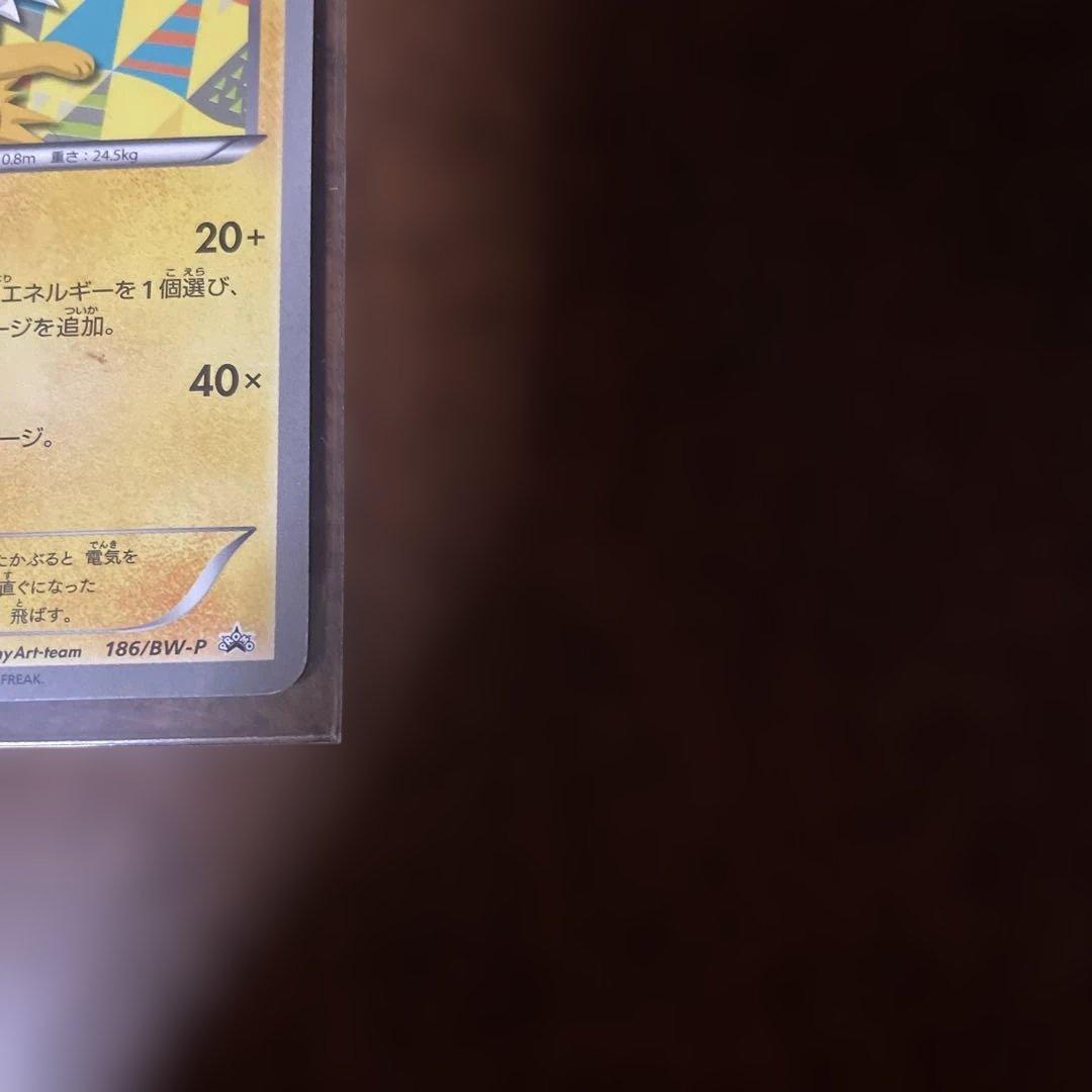 サンダース プロモ 186/BW-P ポケモンカード