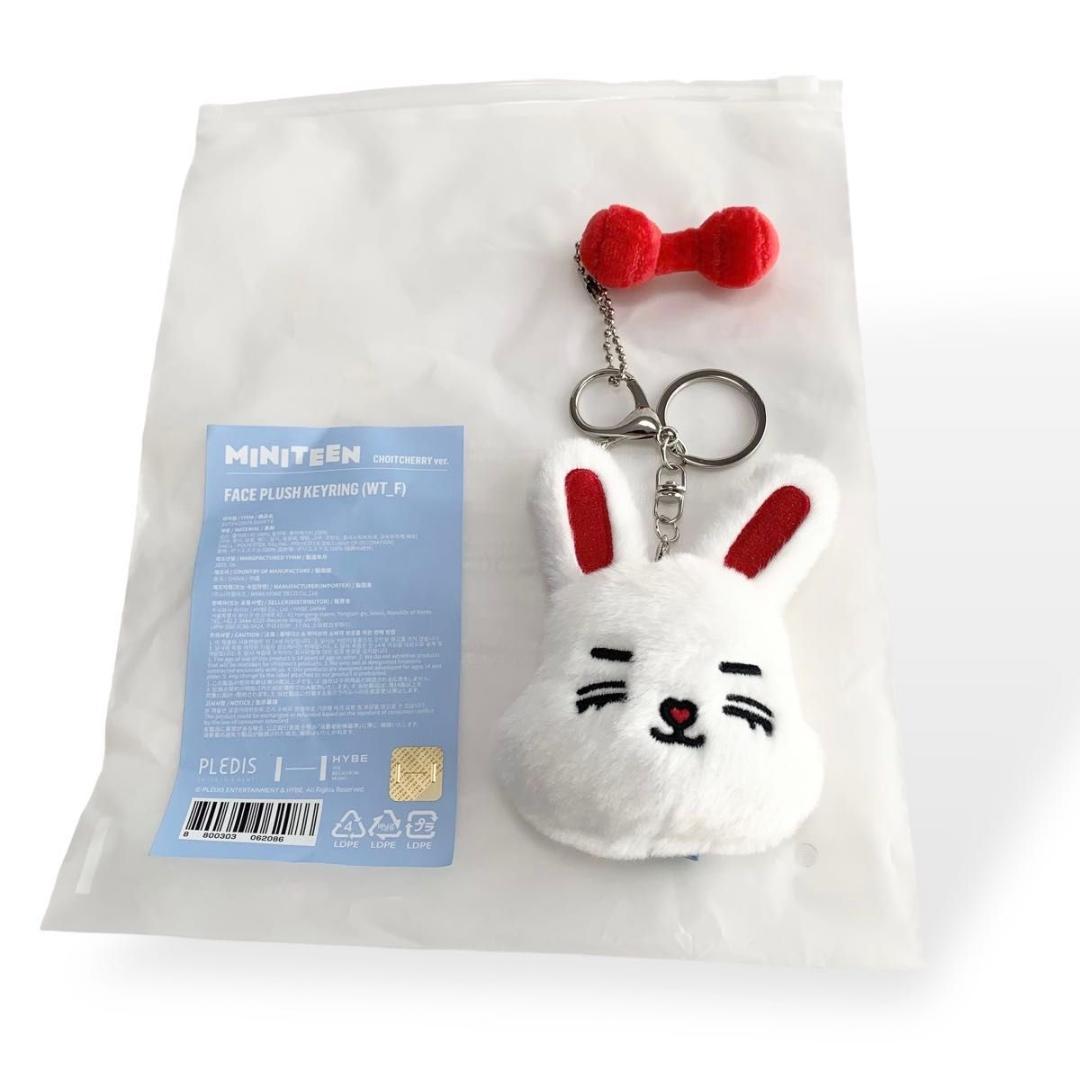 miniteen ミニティーン エスクプス キーリング チェチェリー seventeen