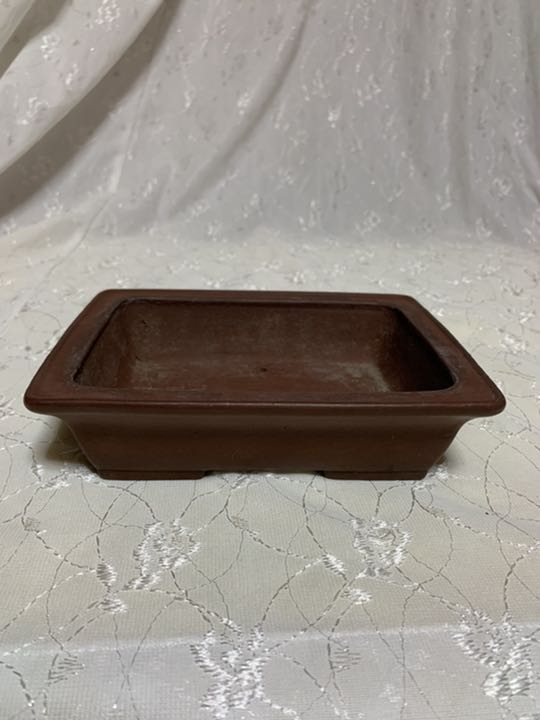 柴勝 長方 盆栽鉢