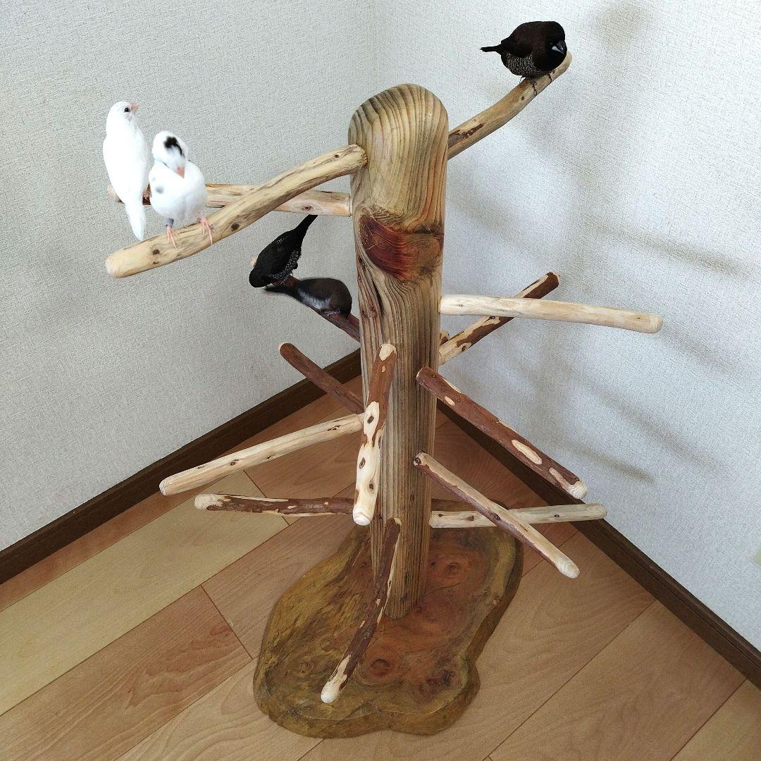 中型鳥用】螺旋状♪ビビリさんにもすぃすぃ登れるバードスタンド 中型鳥