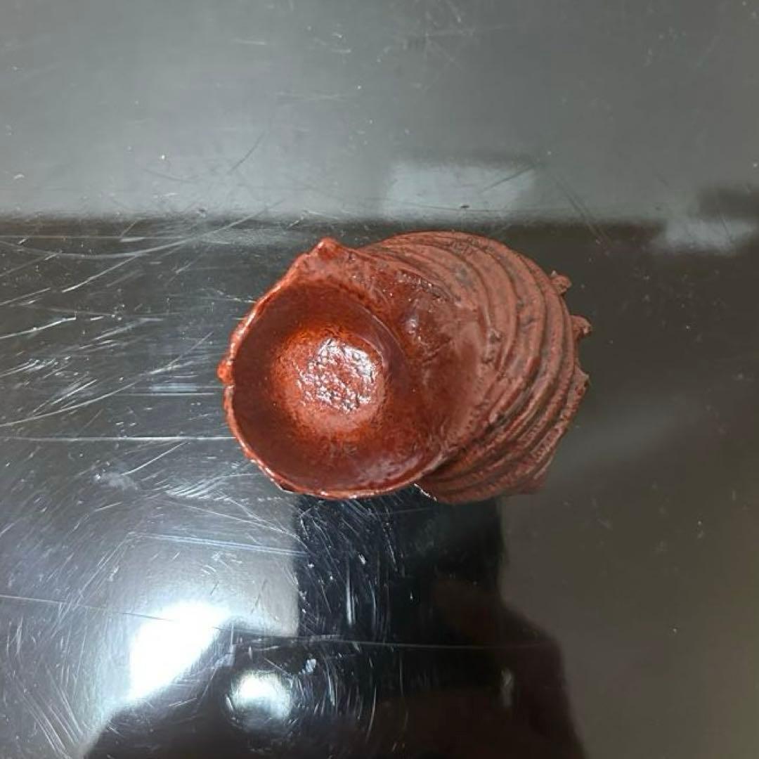 川瀬表完　天然胎さざえ香合　茶道具懐石茶箱鵬雲斎坐忘斎淡々斎即中斎茶碗水指茶杓棗