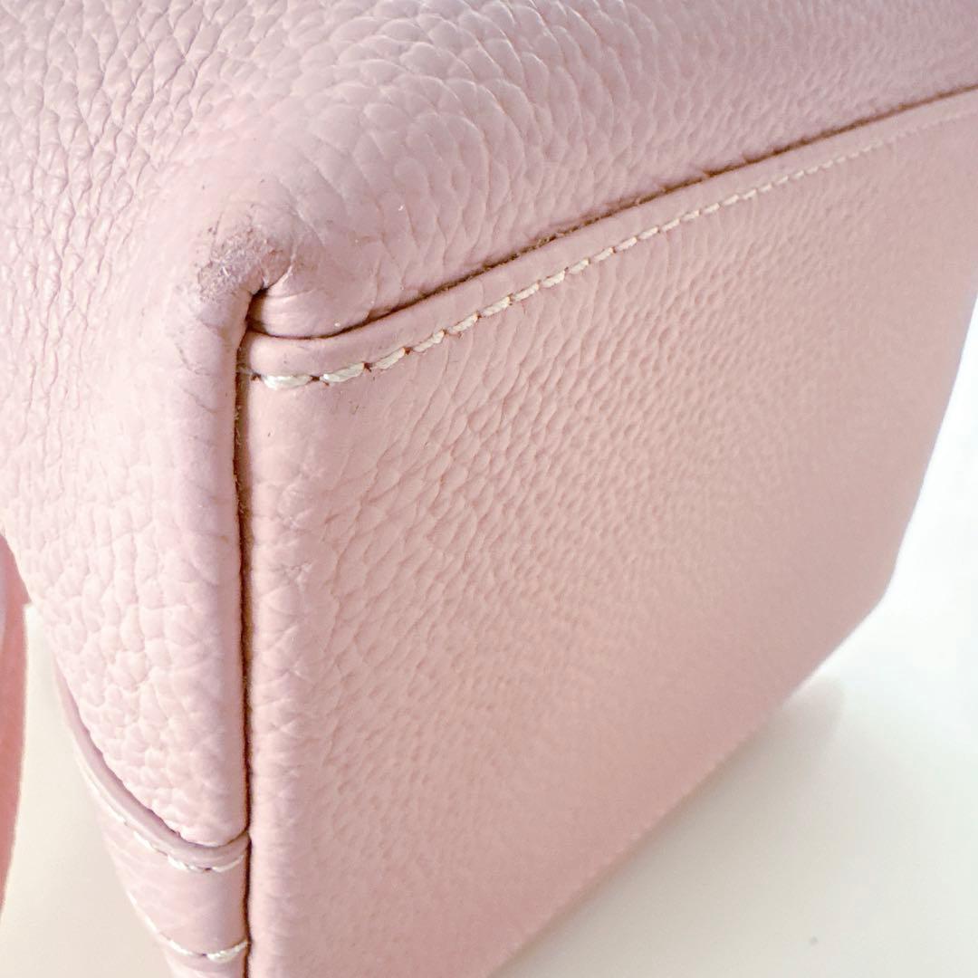 VASIC BOND mini 限定カラー ピンク tomorrowland