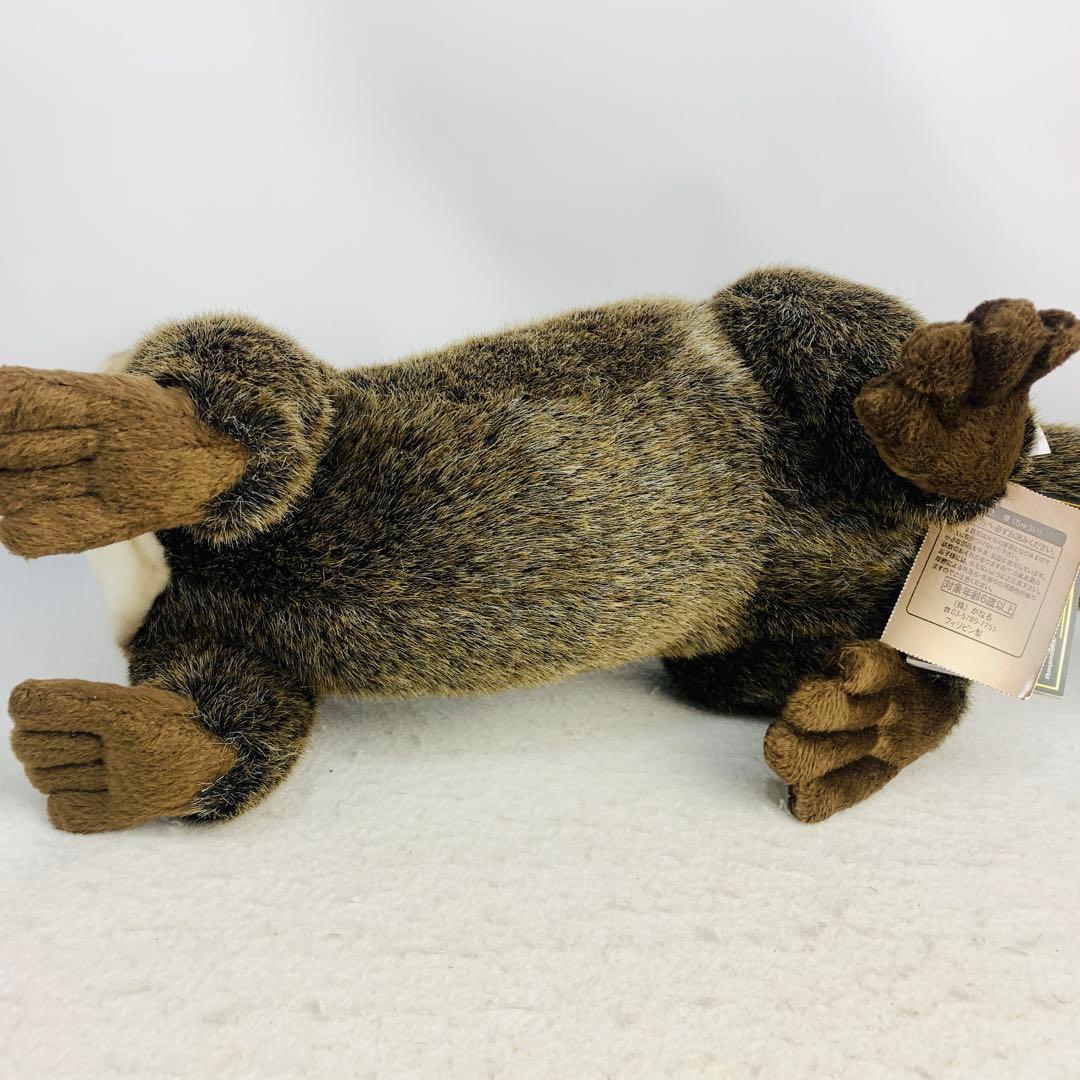 ハンサ ぬいぐるみ 3319 カワウソ かわうそ リアルアニマル 動物 獺