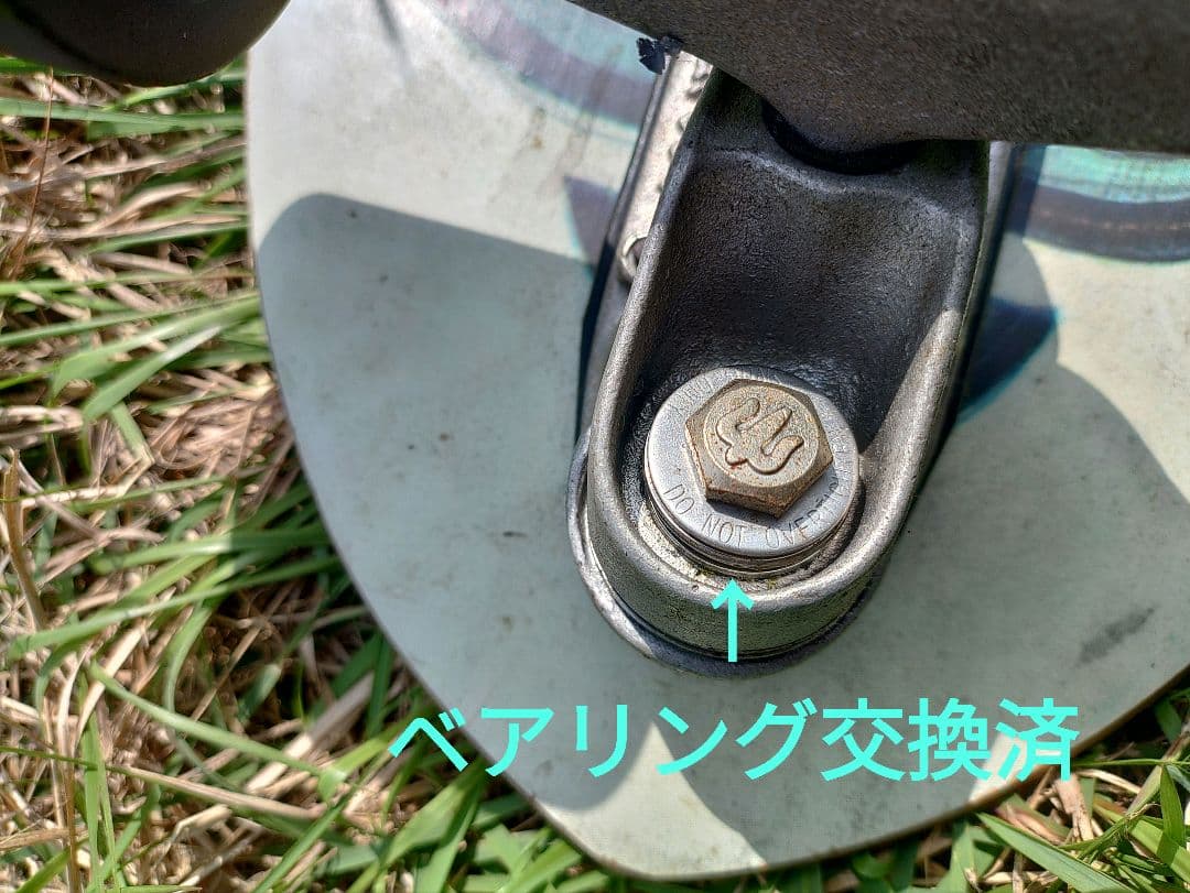 スケートボード Carver