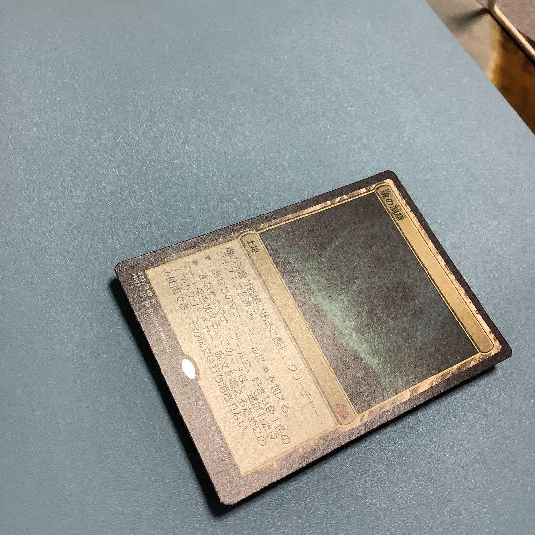 魂の洞窟/Cavern of Souls  MM3日本語