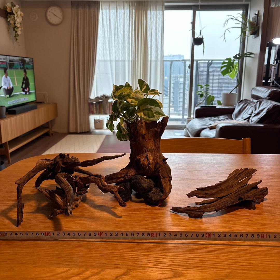 ADA流木5本（まとめ買いの場合は300円引）＊植物除く - メルカリ