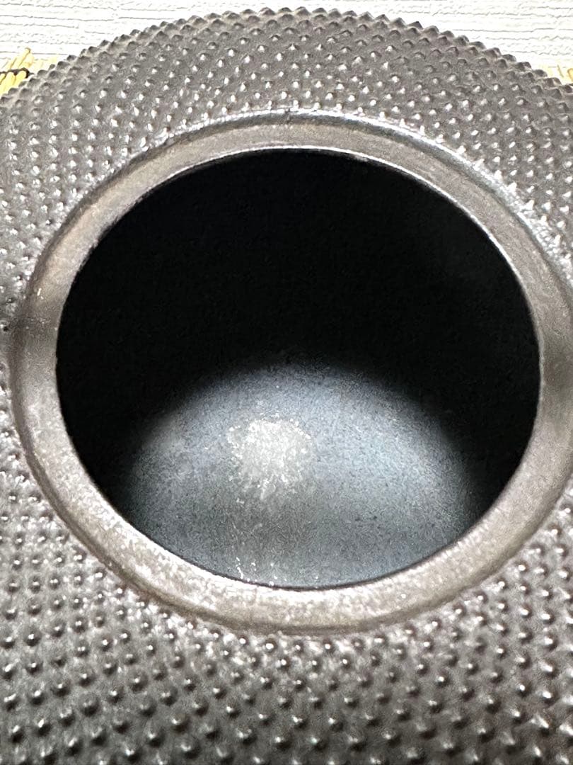 供箱等付属品付 南部藤枝工房 藤枝 昌行作 12型アラレ 南部鉄瓶 南部