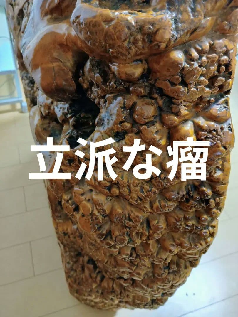 ★花梨 かりん 瘤 衝立 1枚板 価格相談可！定価120万 配達可 群馬