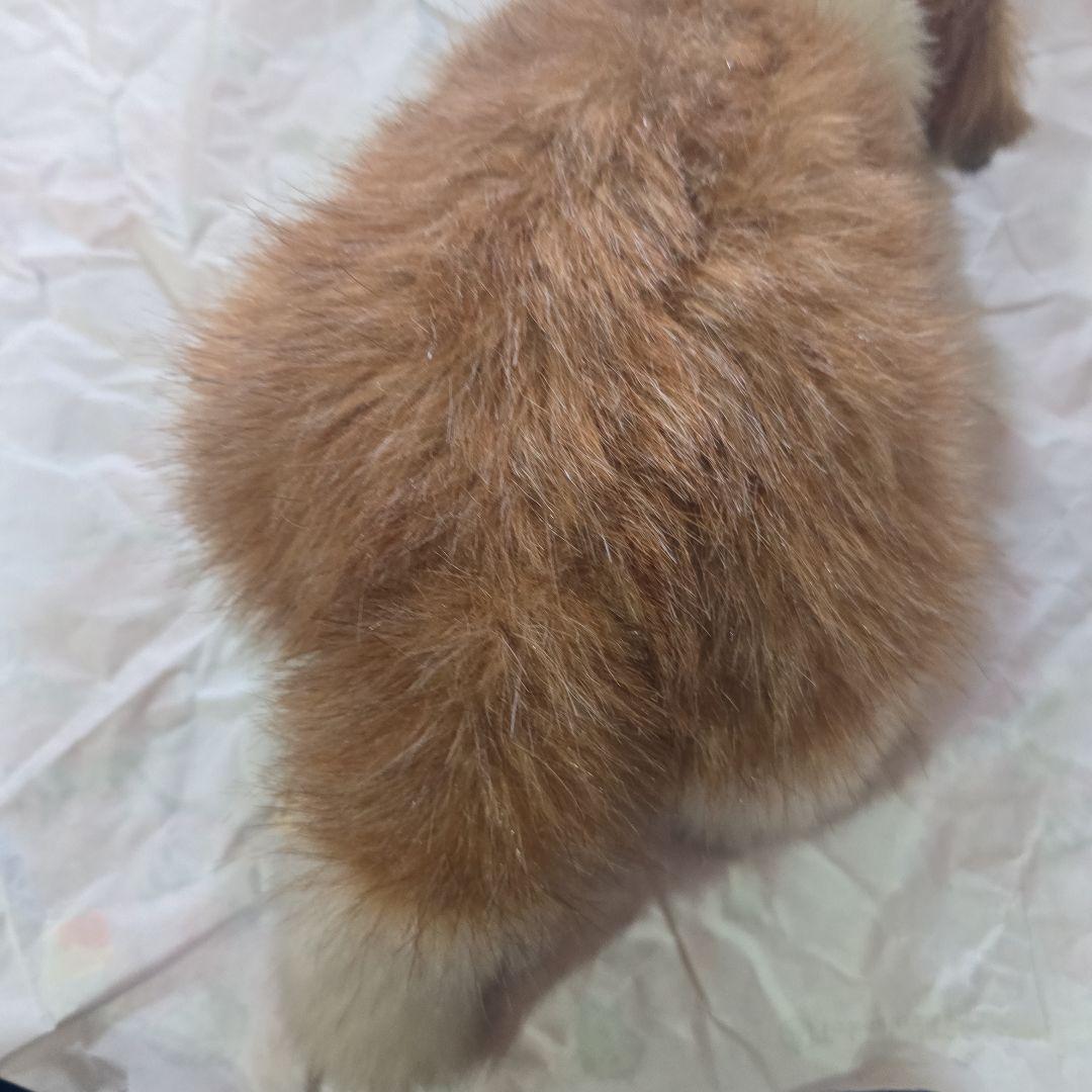 オリエンタルトーイ チャイルドバーナード 這 M420