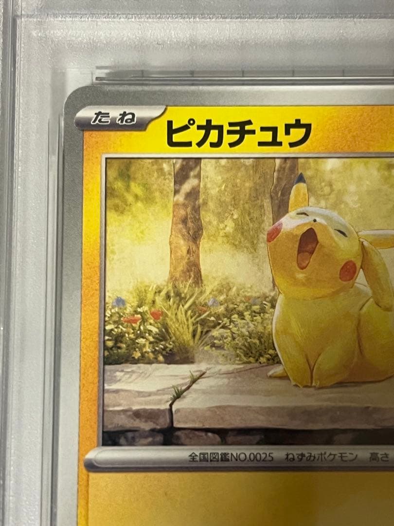 【PSA10】ピカチュウプロモイラストレーションコンテスト2024