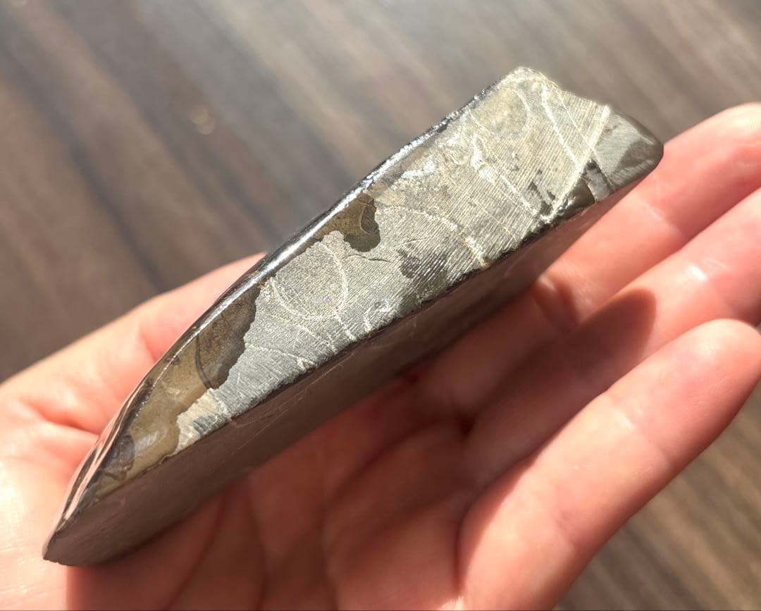 巨大！希少！カナダ産 アンモライト 樹脂スタビライズ加工 天然宝石