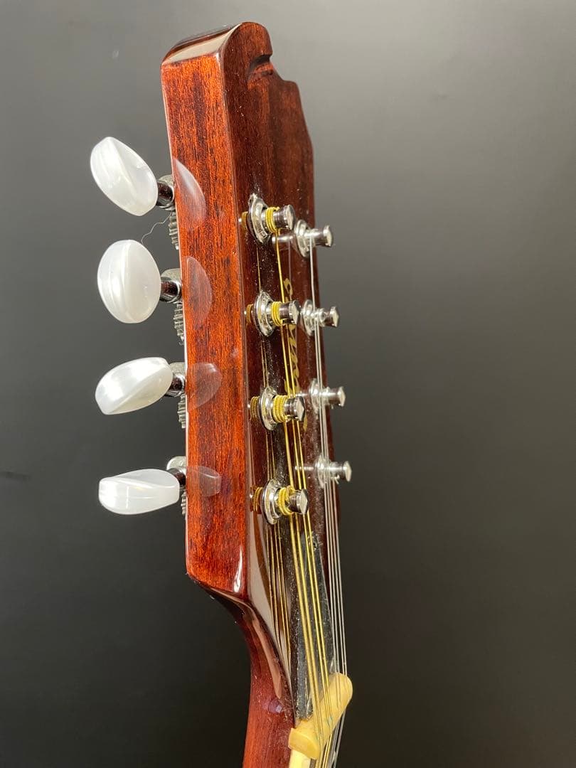 ジェームス James マンドリン JAM300BS ケース付き