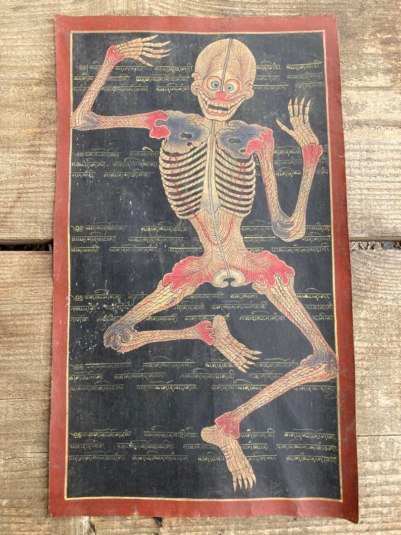 タンカ　チベット直筆人体図　ドクロ