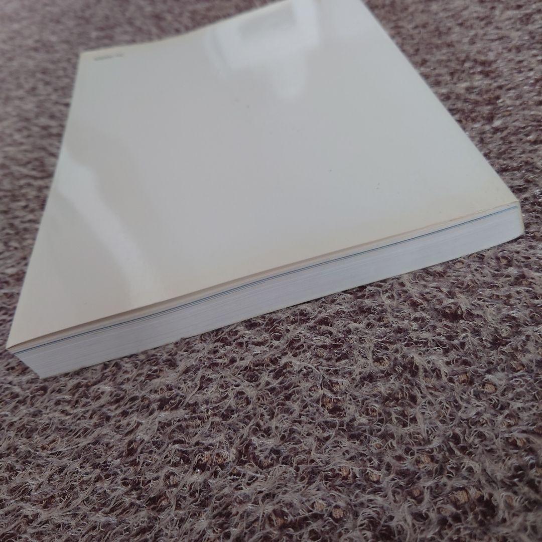 ★APE エイプ 初期 1999年 BAPEMANIA ベイプマニア カタログ★