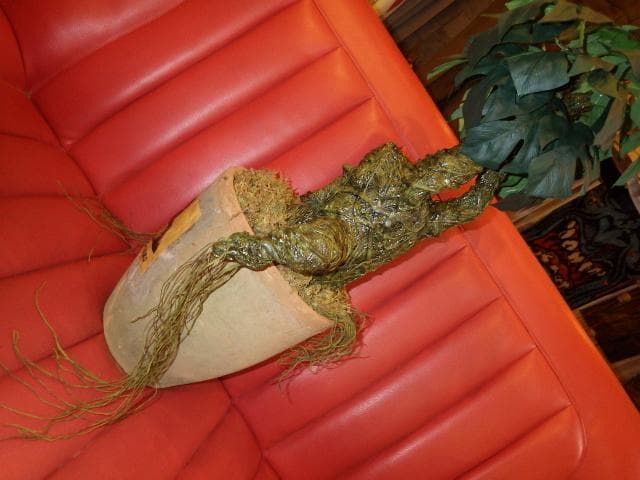 カイゾクソウコ★マンドレイク★28号★人形★フィギュア★マンドラゴラ★ハロウィン