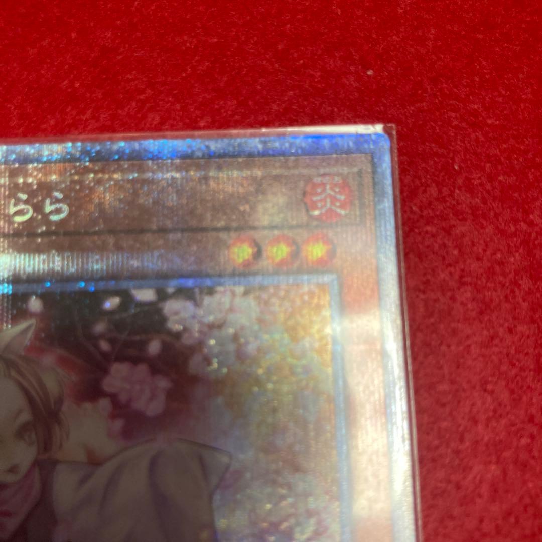 遊戯王OCG 灰流うらら 3枚セット　プリズマ