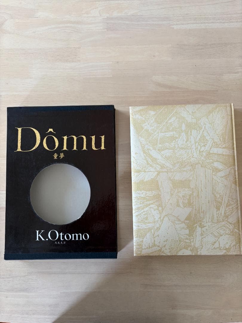 大友克洋 童夢 豪華版 初版 輸送箱無し