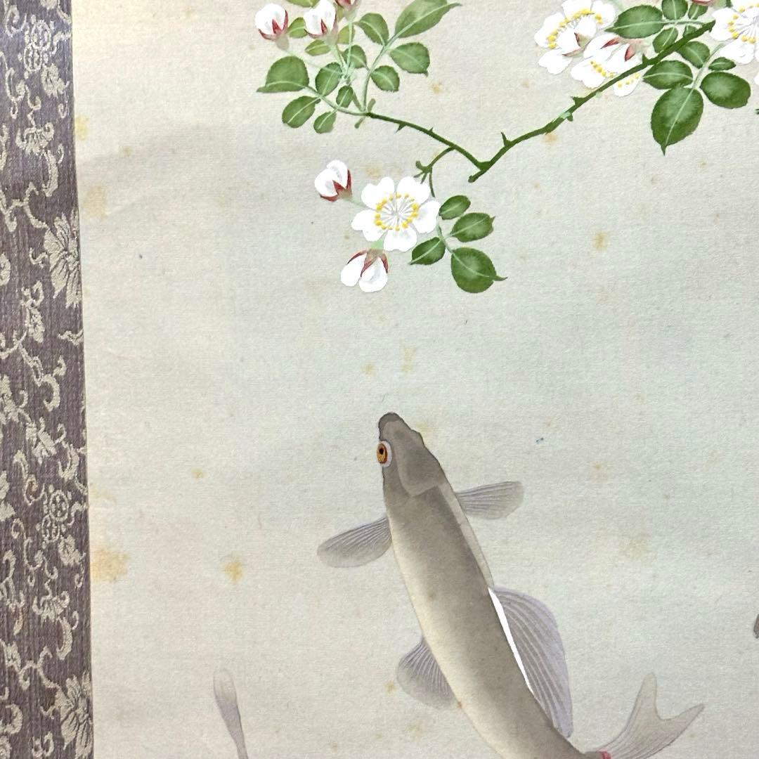 2126様感謝‼️掛軸「茨香魚之圖」神挙作　絹本肉筆　署名落款　桐箱入り