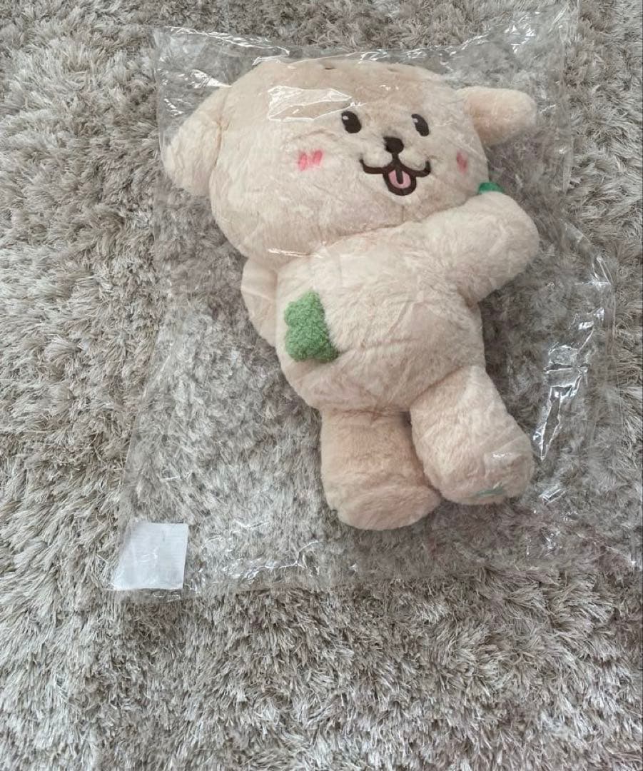 NCT WISH ジェヒ デントリバー バッグ ソウルコン カバン キャラクター