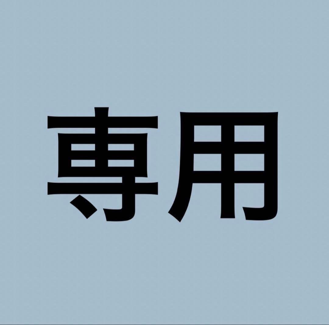 星海光来 フォトカ - メルカリ