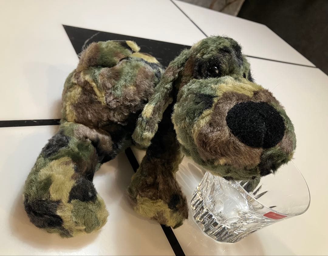 ★★ SONGです★★ 子犬のるーくL　カモフラフィールド