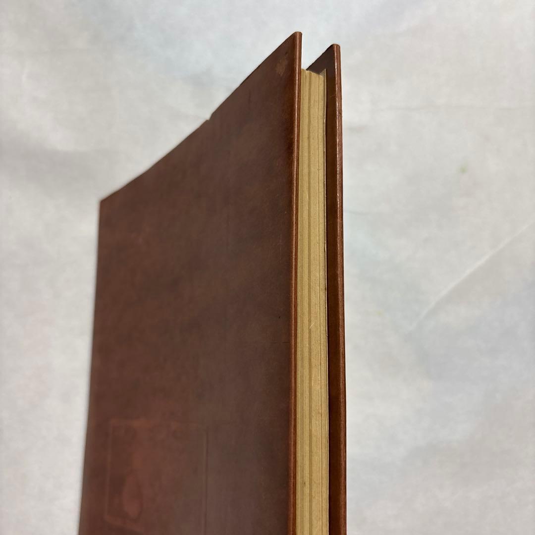 【洋書•戦争】ハッテン=リッターショッフェンの戦いにおける第14装甲師団 米国製