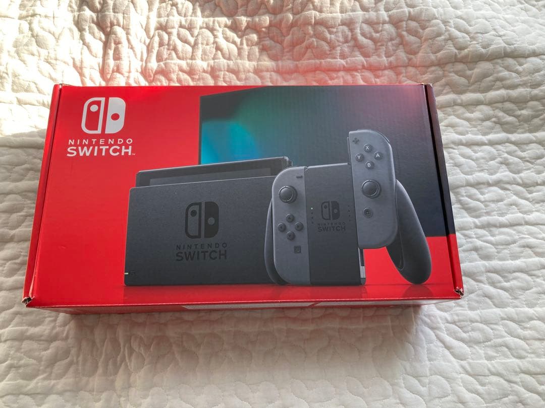 Nintendo Switch グレー 本体とケース