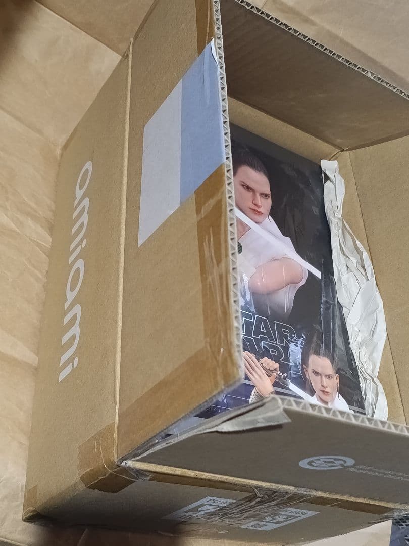 ホットトイズ『スター・ウォーズ／スカイウォーカーの夜明け』レイ＆Ｄ-Ｏ 1/6