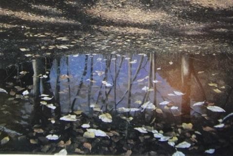 田中芳照、【落陽の池】、希少な額装用画集より、新品額装付、状態良好