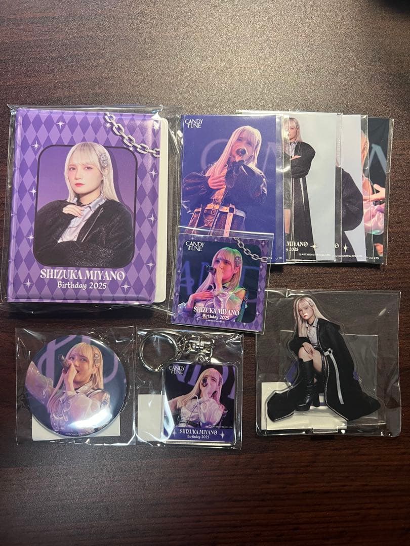 CANDY TUNE 宮野静 生誕記念2025 すきくじ チェキファイル - メルカリ