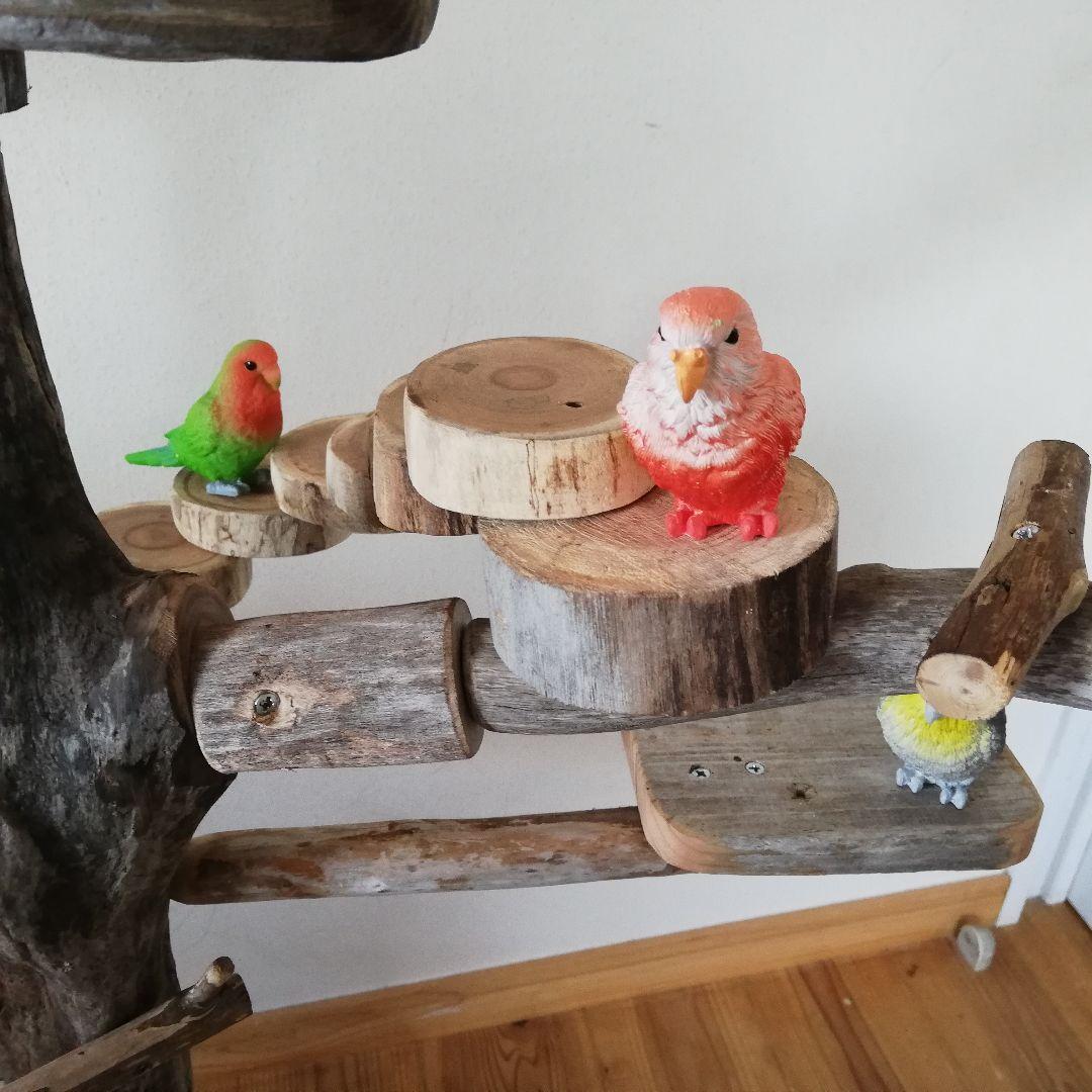 バードアスレチックジム大型 ㊲ 天然木 自然木 止まり木 インコ おもちゃ