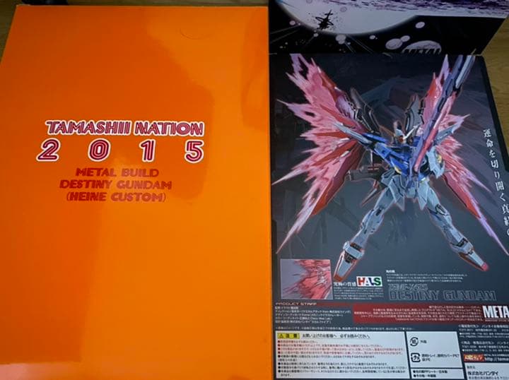 メタルビルド デスティニーガンダム (ハイネ機) + 光の翼 OPセット