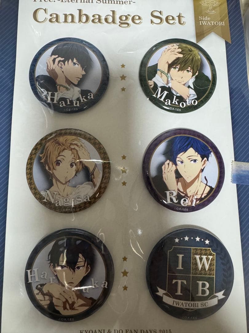 Free 缶バッジセット 岩鳶