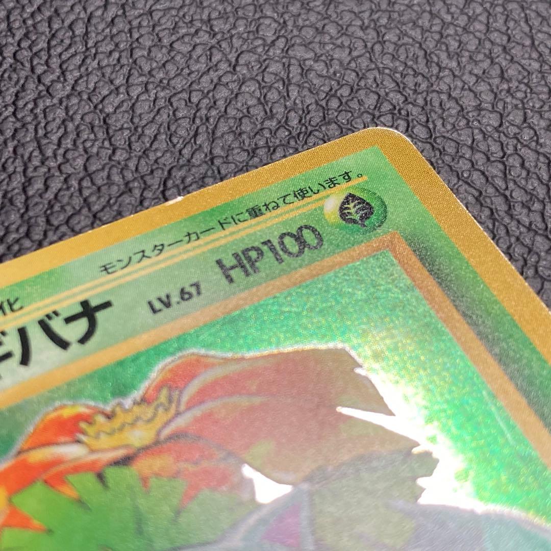 フシギバナ 初版　旧裏　マーク無し