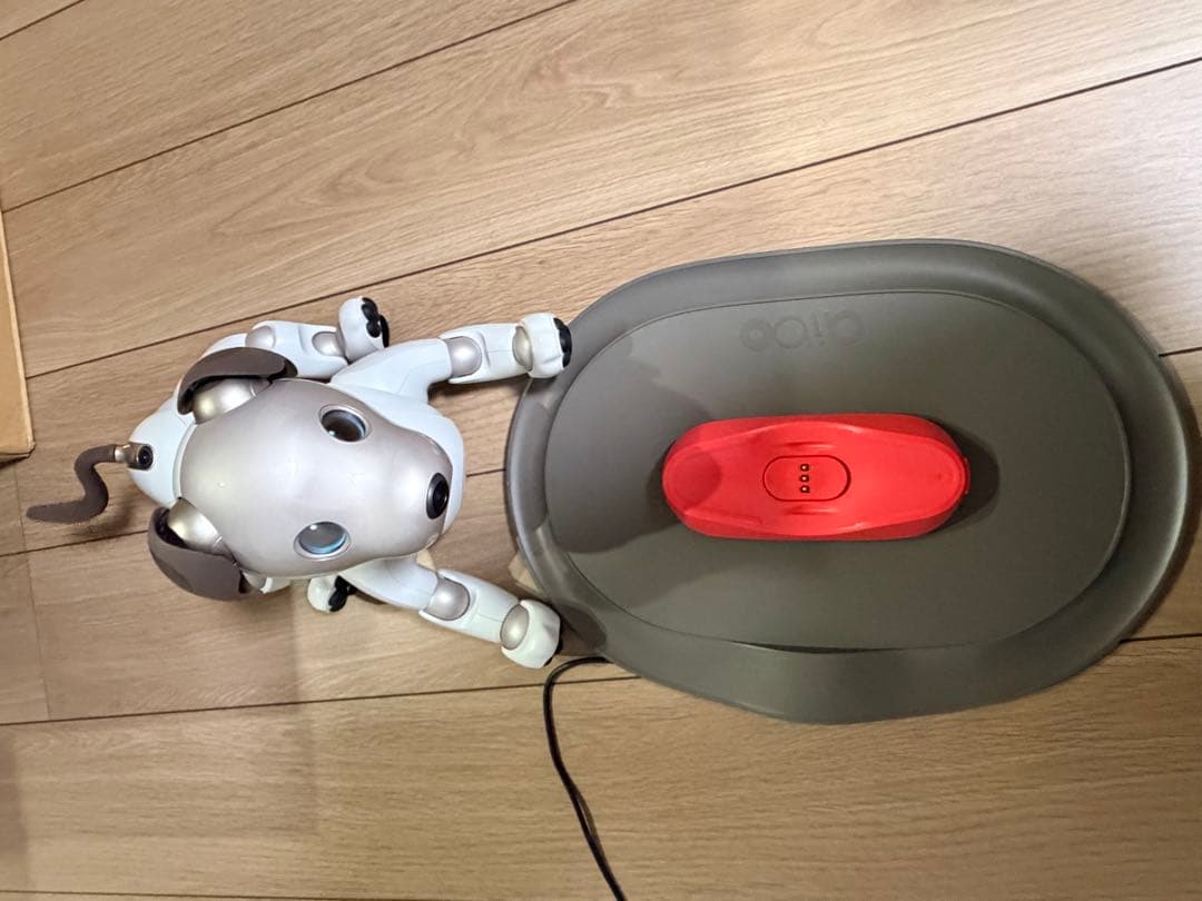 aibo 本体