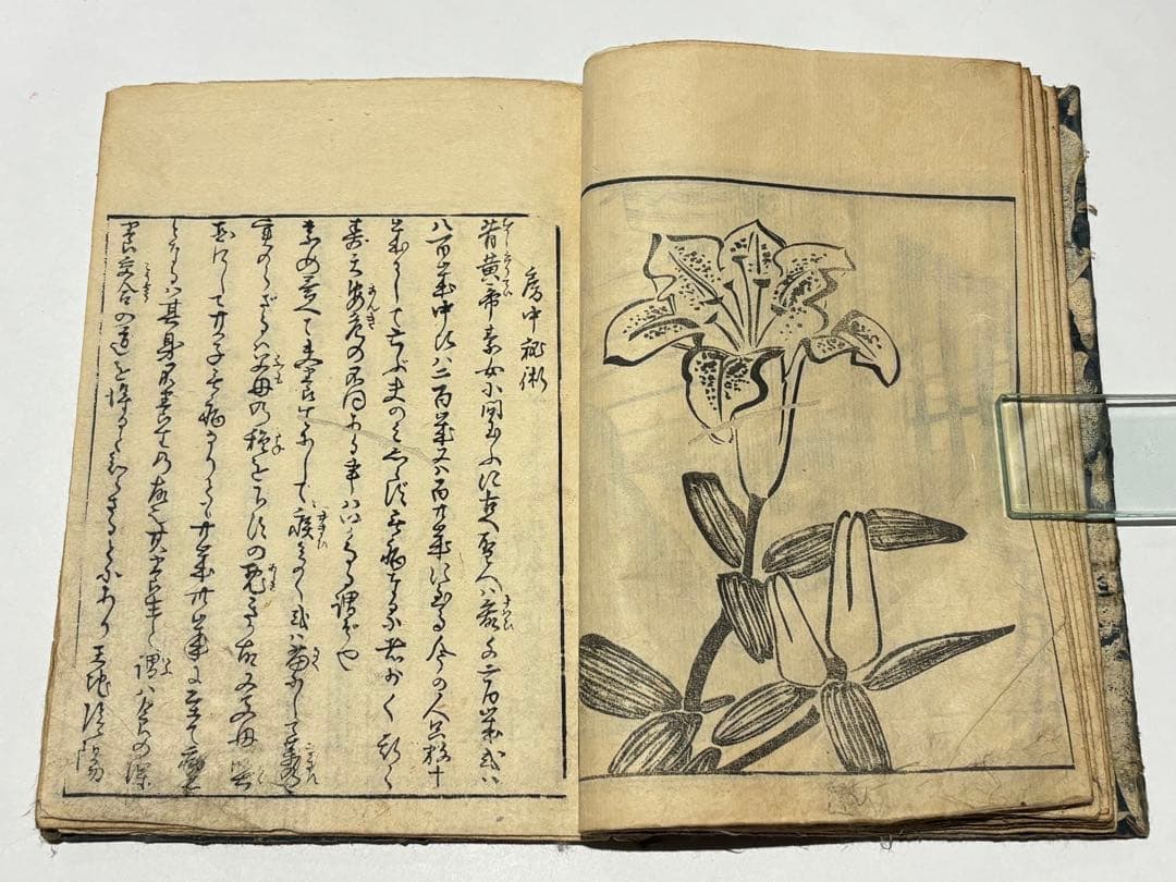 艶本 里気色（艶本虎之巻）」速水春暁斎画 木版画 揃