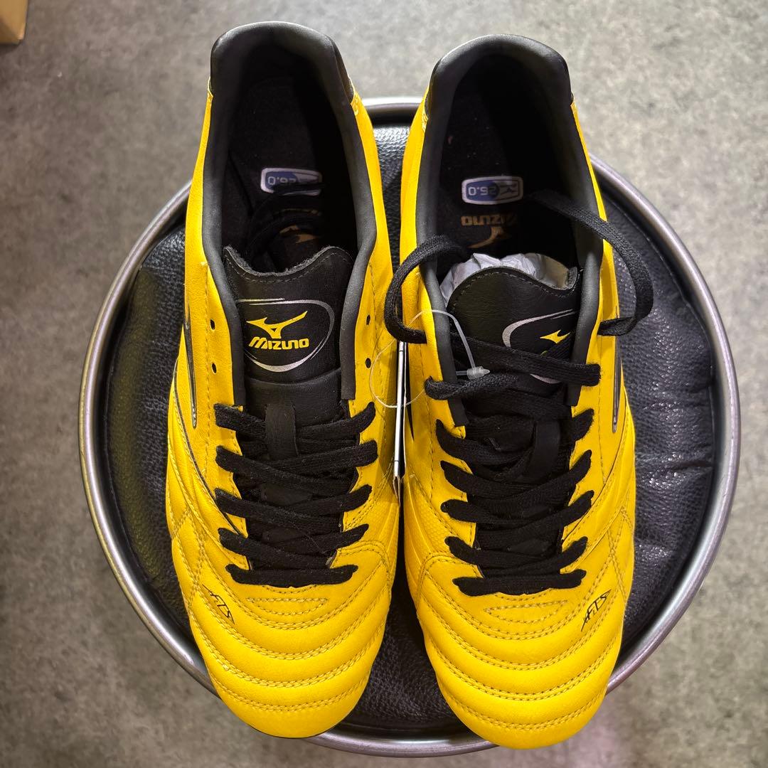 南アフリカ/ロハトラ産】エフェサイト｜南アフリカ/ロハトラ産】エフェ