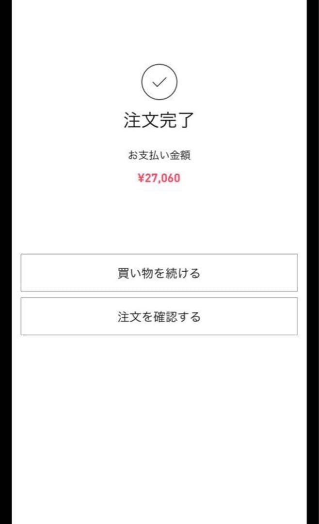 完全未開封 確実正規品 ラブブ Big into Energy 1アソート