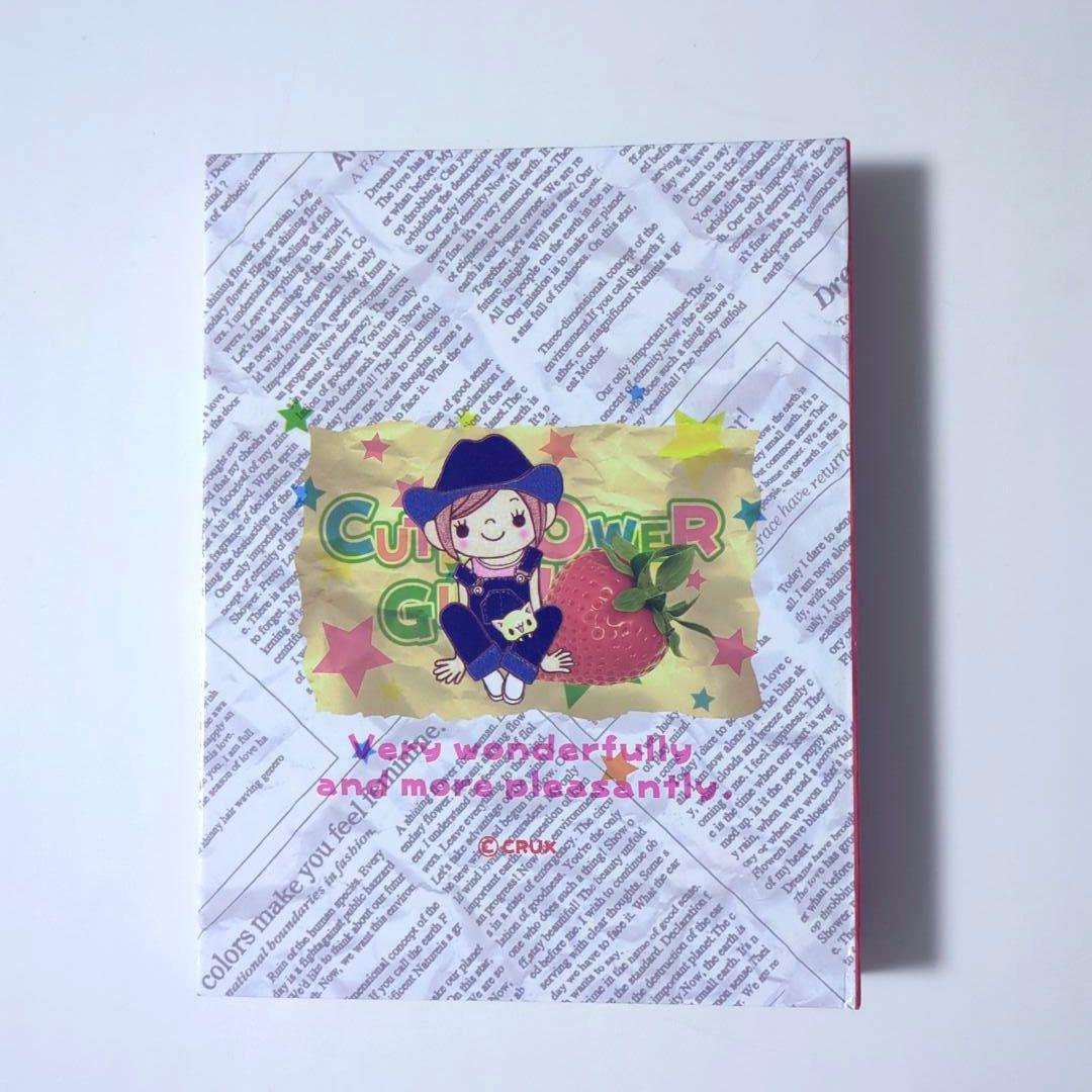 当時物 】平成レトロ プロフィール帳