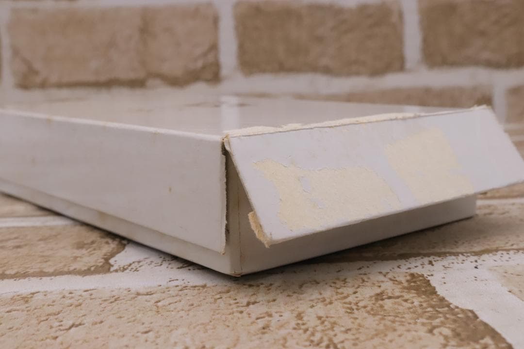 ◇長野オリンピック 公式記念メダル 第2次発行 純銀 ブロンズ