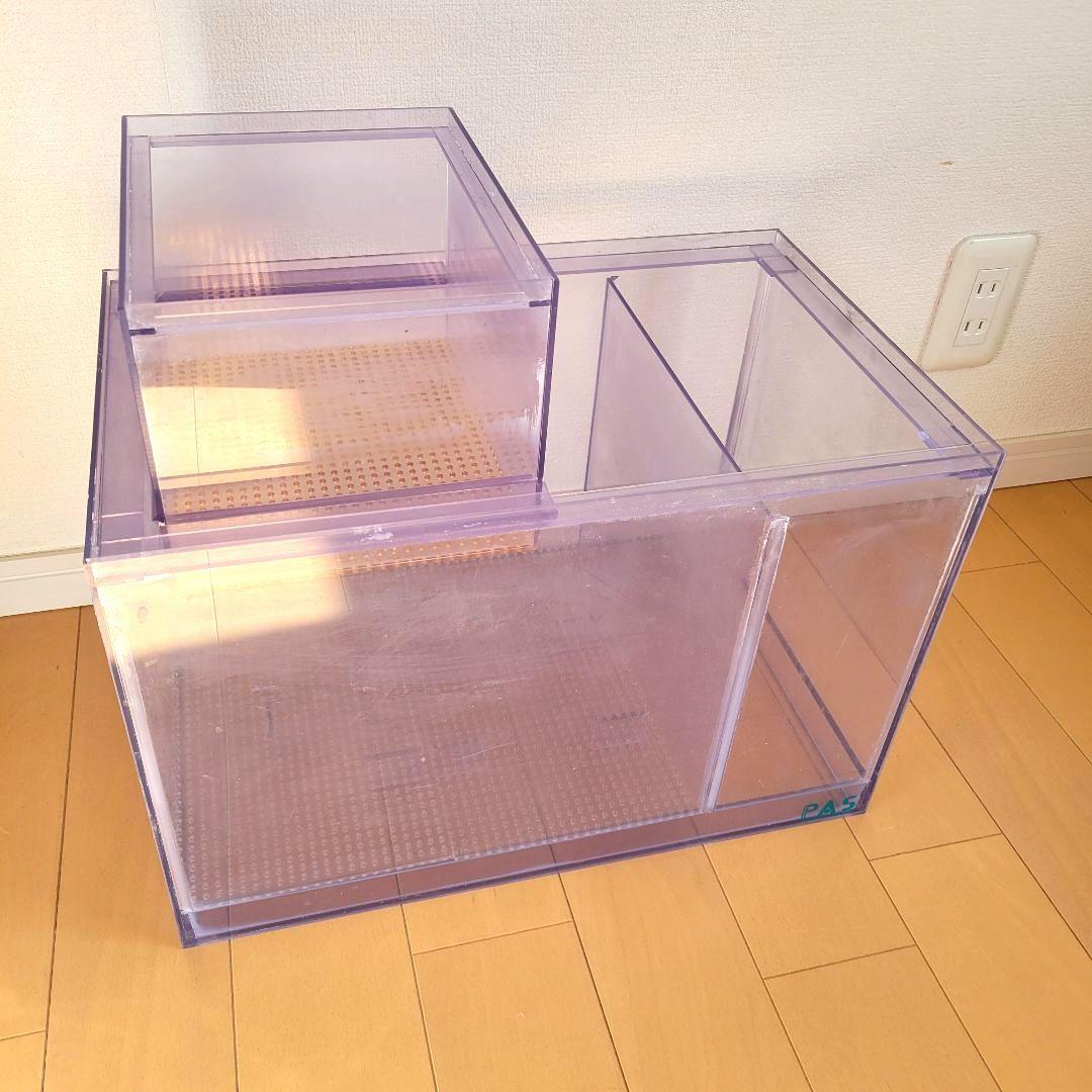 幻の溶岩石 サムライラバロック 大量