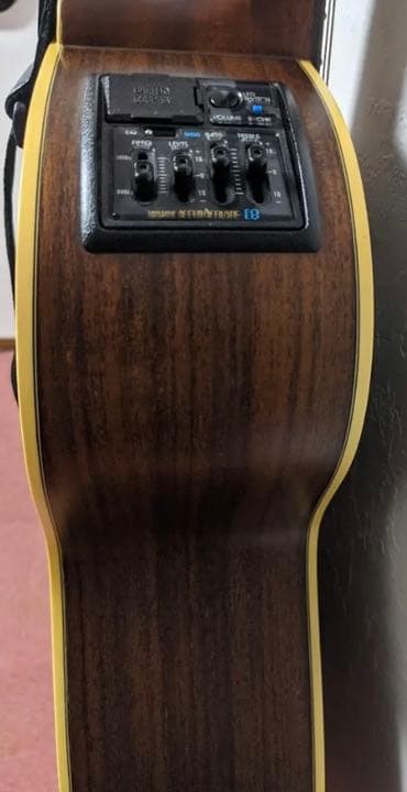 Takamine NPT012BS エレアコ ギター 長渕剛