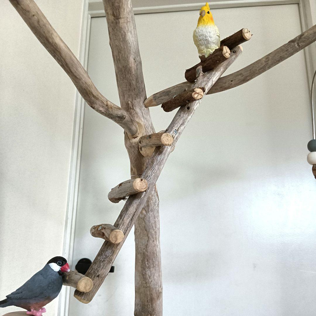 バードアスレチックジ厶 天然木 自然木 流木 インコ 止まり木 インコ